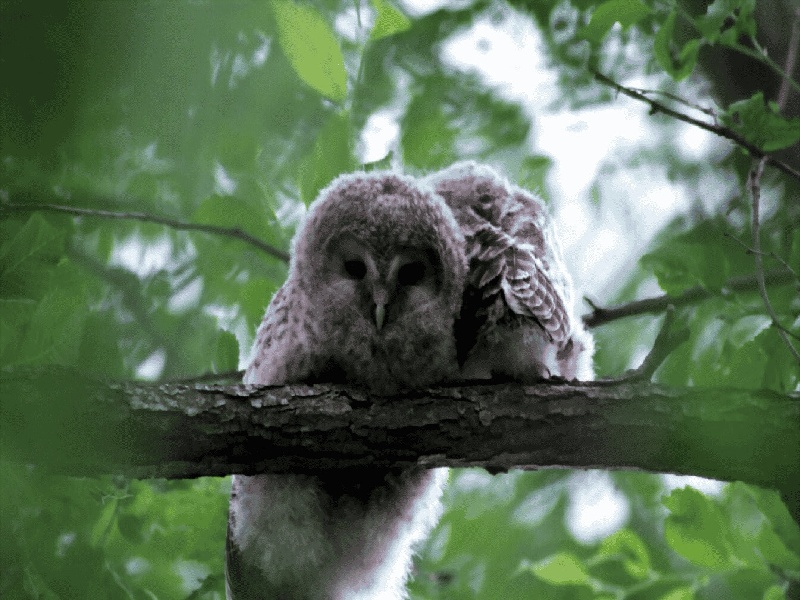 美国洛杉矶医院试管,试管前全套检查